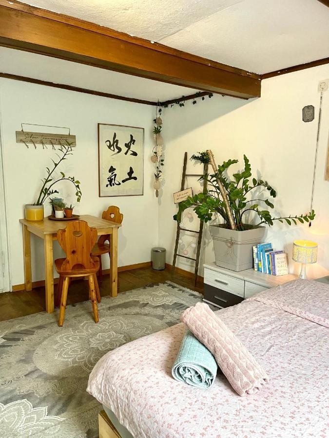 Cozy Room In An Old Farmhouse Near Vaduz Sevelen Экстерьер фото