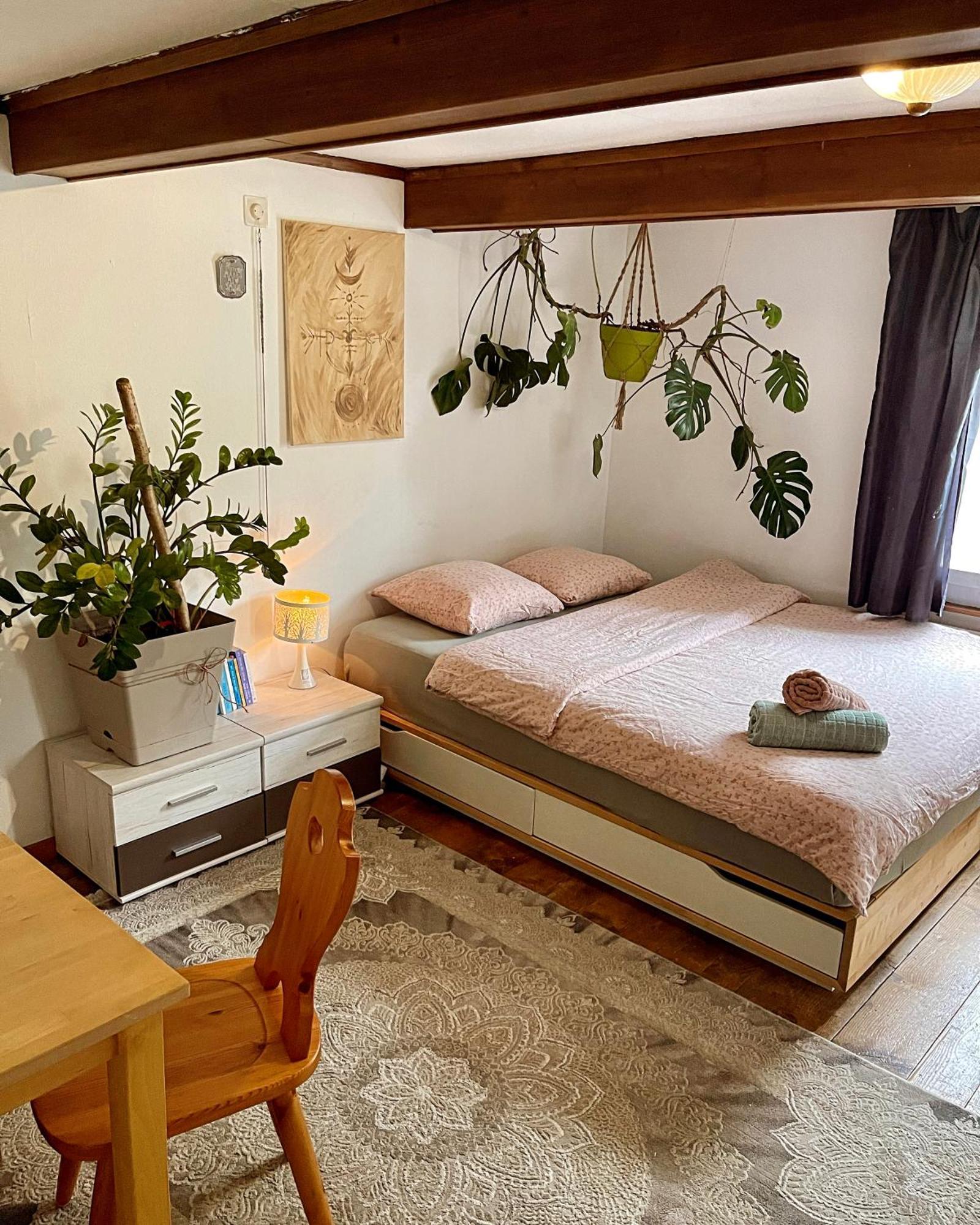 Cozy Room In An Old Farmhouse Near Vaduz Sevelen Экстерьер фото